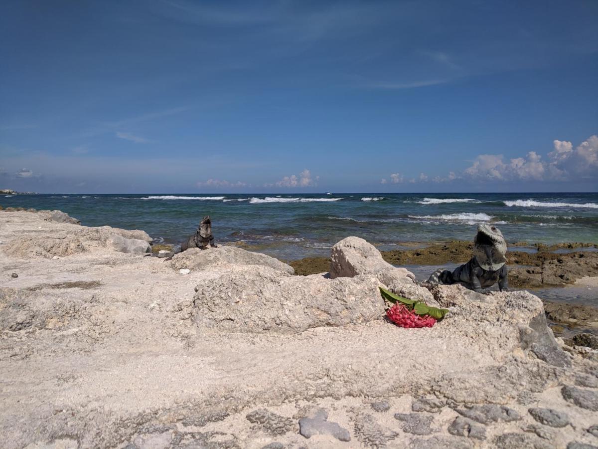 Bahia Principe & Golf Residences Tulum Kültér fotó